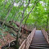 Chill Hike, Cool Vibes, and City Views