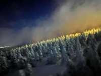 藏王雪山與浪漫仙子紫藤花