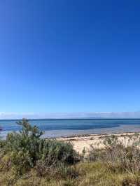 🌊⚓️ Queenscliff Feels Like a Postcard You Can Walk Into