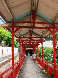 Peaceful Temple Views Without a Price Tag