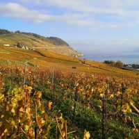 A Summer Escape to Lake Geneva: Where Alps Meet Azure Waters