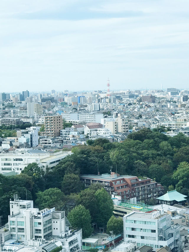【東京都北区赤羽の自然と清い滝・文化の融合したローカル遊歩道】