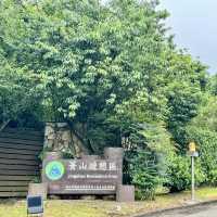 陽明山山豬湖山走走