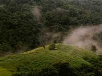 ขับรถเที่ยวหน้าฝน… ชมวิวถนนลอยฟ้า​ 