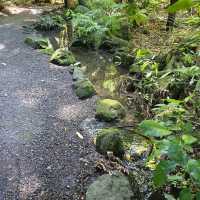 Christchurch Botanic Gardens