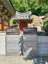 숲속 고요를 만나는 힐링 산책