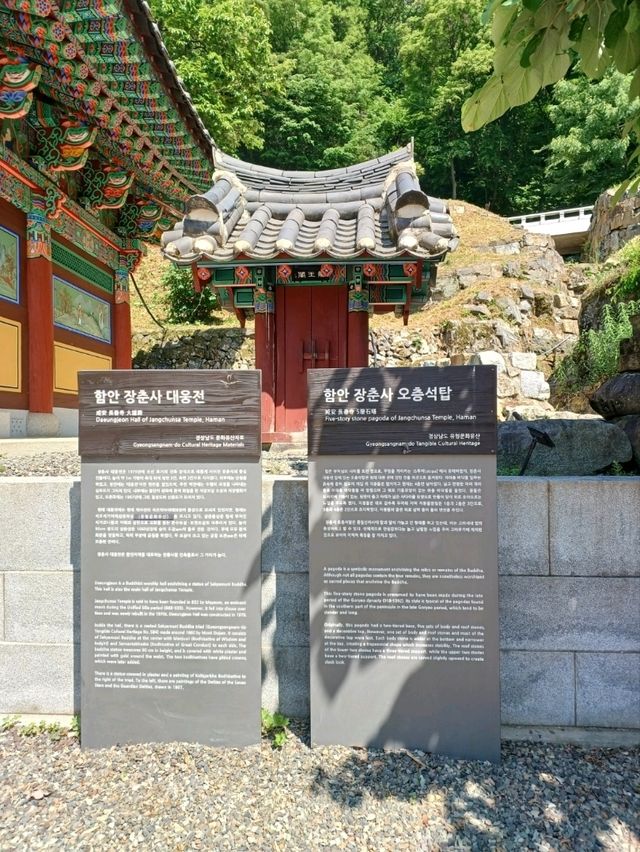 숲속 고요를 만나는 힐링 산책