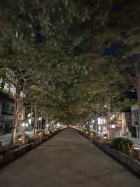 同じ“鎌倉”なのに、行くたびに感じ方が変わるのはなぜだろう？🇯🇵✈️🌎 