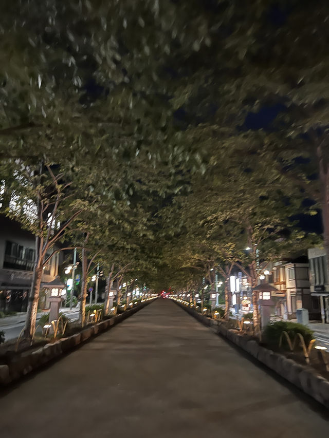 同じ“鎌倉”なのに、行くたびに感じ方が変わるのはなぜだろう？🇯🇵✈️🌎 