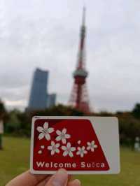 分享❤️東京六天五夜自由行行程！