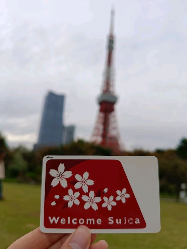 分享❤️東京六天五夜自由行行程！