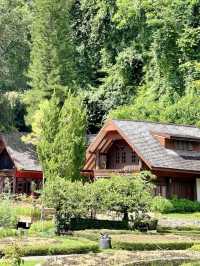 숲 속의 별장 분위기와 🏞️야외 수영장이 있는 머무르기 좋은 치앙마이 여행지💚