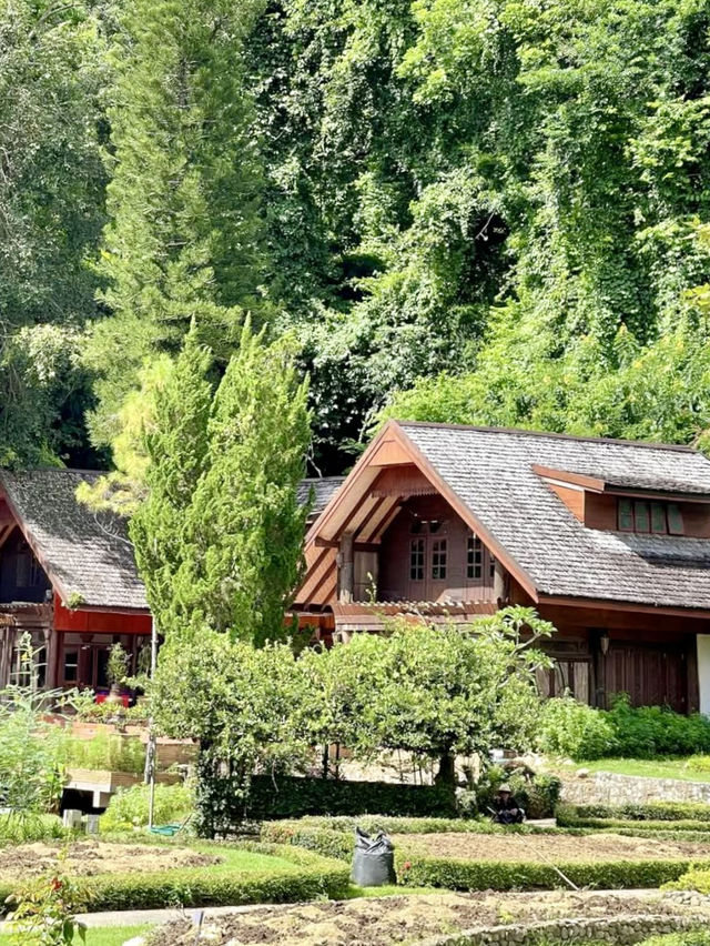 숲 속의 별장 분위기와 🏞️야외 수영장이 있는 머무르기 좋은 치앙마이 여행지💚