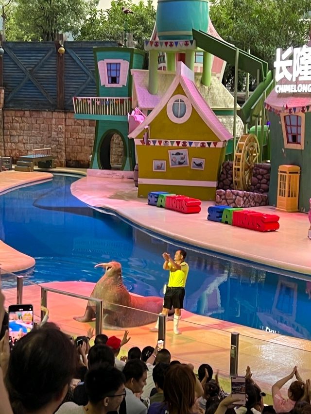 親子遊🇨🇳珠海長隆海洋王國🌊🐬🐋🐟全攻略