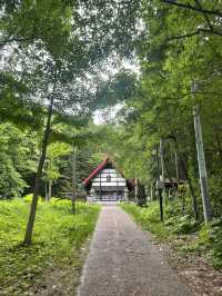 定山溪一日遊：沉浸山林溫泉的感動與放鬆