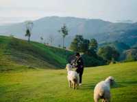 เที่ยวดอยช้าง AKHA FARMVILLE อาข่า ฟาร์มวิลล์