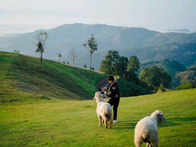 เที่ยวดอยช้าง AKHA FARMVILLE อาข่า ฟาร์มวิลล์