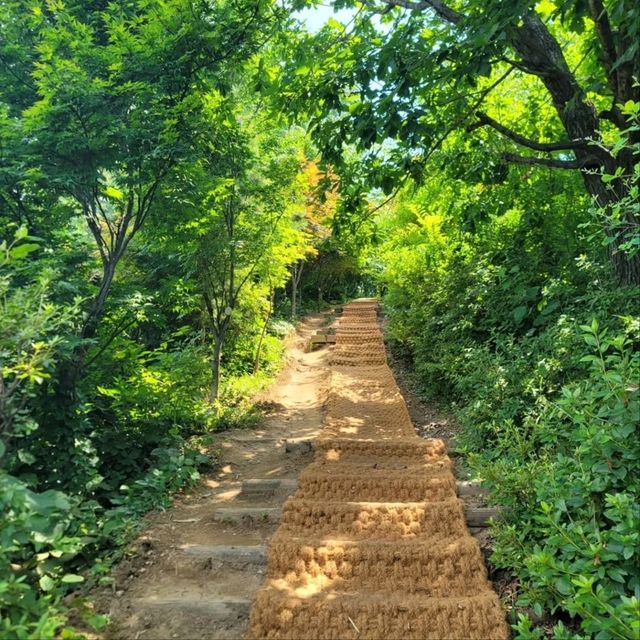 Quiet Trails & Sweet Summit Views
