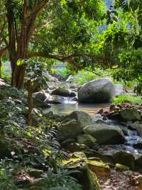 Morning Hike to a Hidden Gem: Emperor Villa Penang
