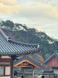 🍁 설악산 당일치기 여행기 – 단풍, 케이블카, 신흥사까지 완벽 루트!