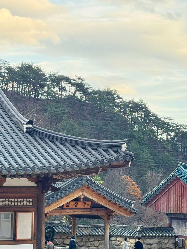🍁 설악산 당일치기 여행기 – 단풍, 케이블카, 신흥사까지 완벽 루트!