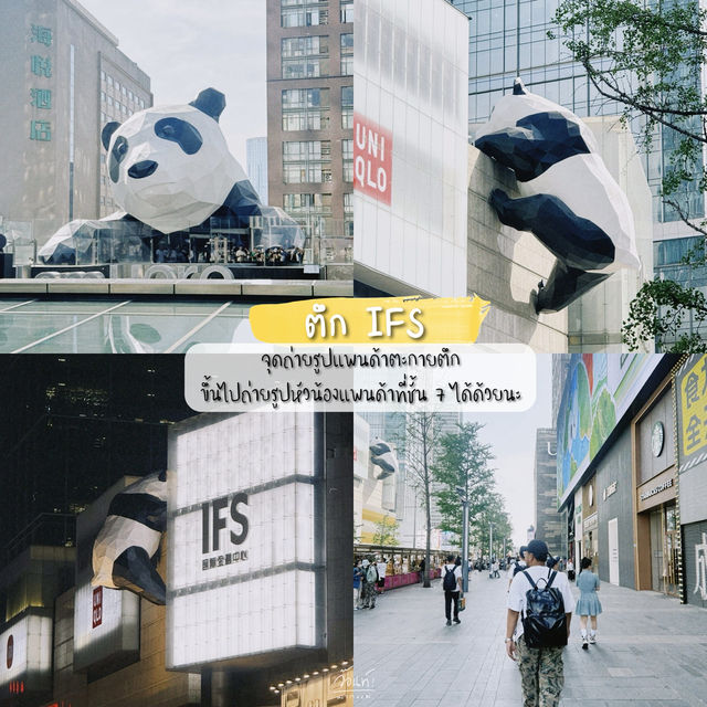 รวมจุดเช็คอินเฉิงตู เมืองแพนด้าสุดคิ้วว 🐼🍵