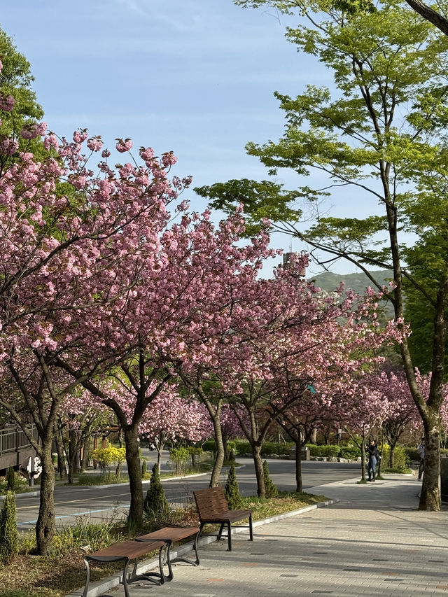 동물원, 식물원, 호수, 케이블카까지! 하루 종일 즐긴 서울대공원 여행코스