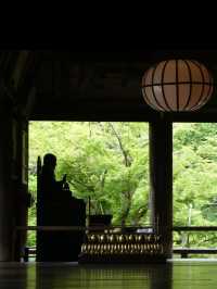 🏯【奈良・長谷寺】四季と心を映す、花と祈りの聖地