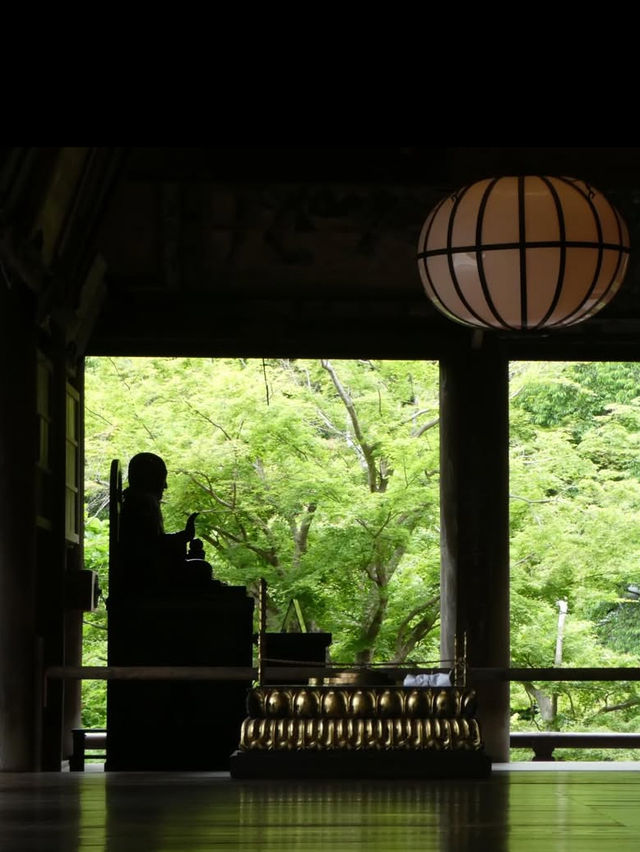 🏯【奈良・長谷寺】四季と心を映す、花と祈りの聖地