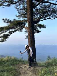 🌄 ดอยหลวงตาก จ.ตาก – ธรรมชาติยิ่งใหญ่ใจกลางขุนเขา