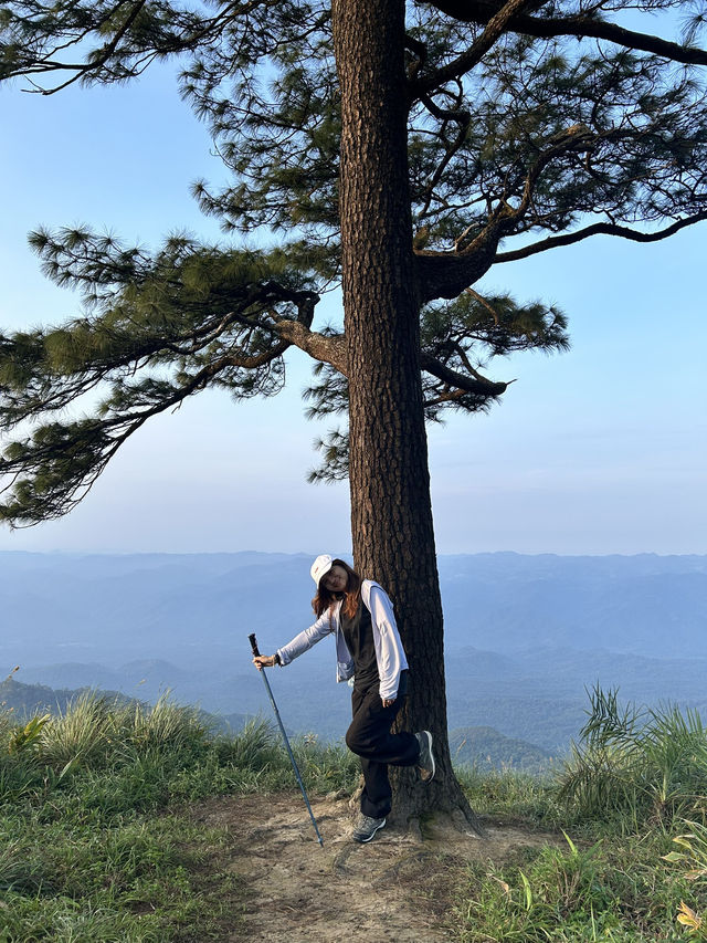 🌄 ดอยหลวงตาก จ.ตาก – ธรรมชาติยิ่งใหญ่ใจกลางขุนเขา