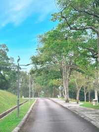 Where Sundays Bloom: A Morning at Taman Wetland Putrajaya