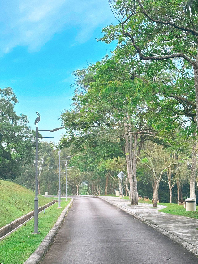 Where Sundays Bloom: A Morning at Taman Wetland Putrajaya