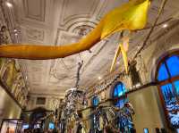 【ウィーン・自然史博物館】🦕時を超えて地球の歴史にふれる、子どもから大人まで夢中になる空間。
