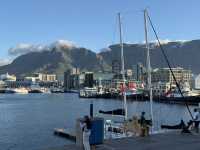 How to spend 7 days in Cape Town
