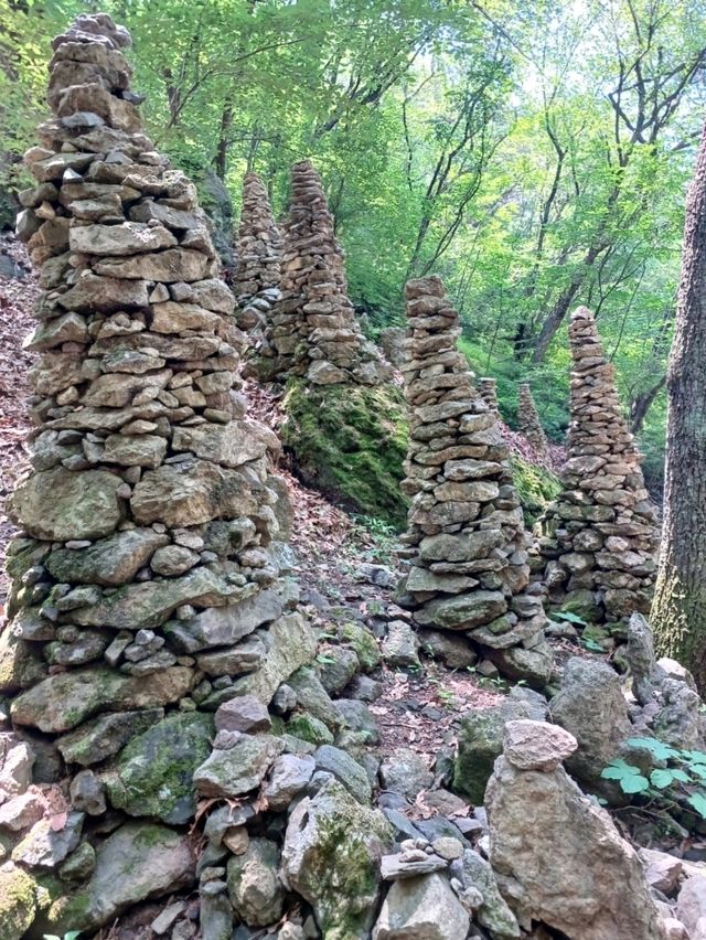 산골짜기 고요 속 돌사이로 피어난 가족의 꿈✨