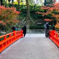 朱色の鳥居に包まれた心の旅
