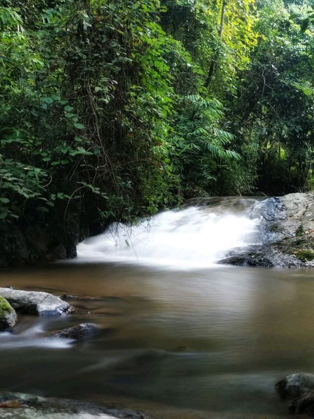 🍃 นอนริมลำธารกันมั้ย? ที่ Bee Forest แม่ออน 🌿