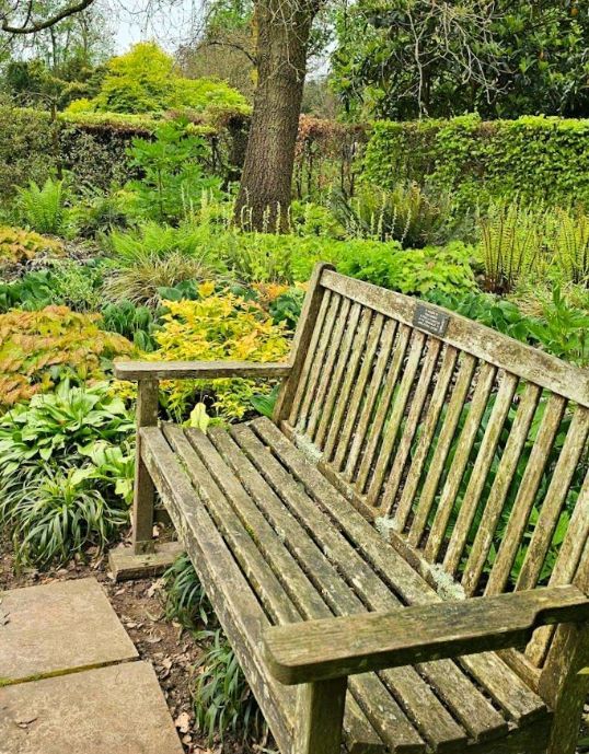 Harris Garden