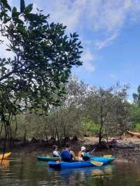 Mangrove Magic: Kayaking the Sepang River 🌿