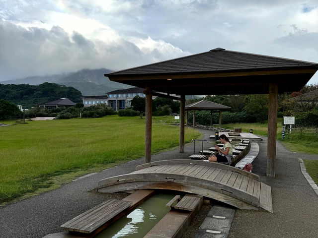 Sakurajima Half-Day Trip: My Volcanic Adventure! 🌋🚌