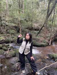 ภูกระดึง