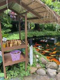 Montra Cafe ไร่วังบอน คาเฟ่ลับกลางป่า ฟีลดี 