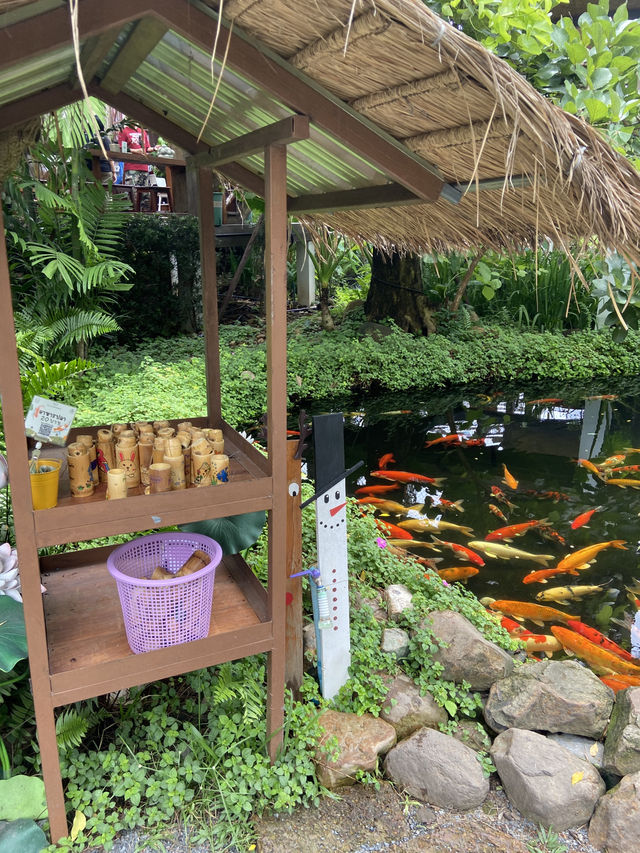 Montra Cafe ไร่วังบอน คาเฟ่ลับกลางป่า ฟีลดี 