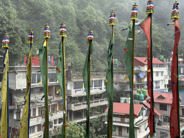 【インド・ダージリン Dali Monastery】圧巻のチベット仏教建築と出会う