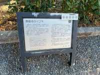 Tofukuji Temple: A Stunning Architecture Marvel