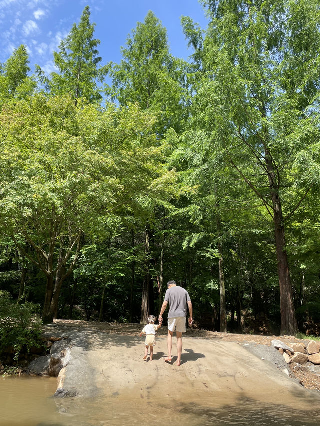 상소동 산림욕장에서 여름을 보내요🌿