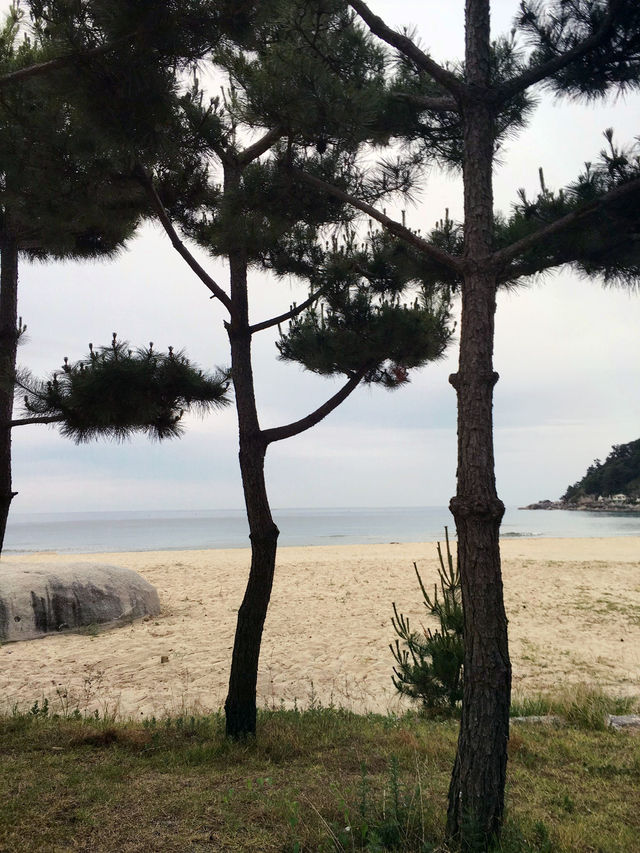 여름 바다를 즐길 수 있는 양양