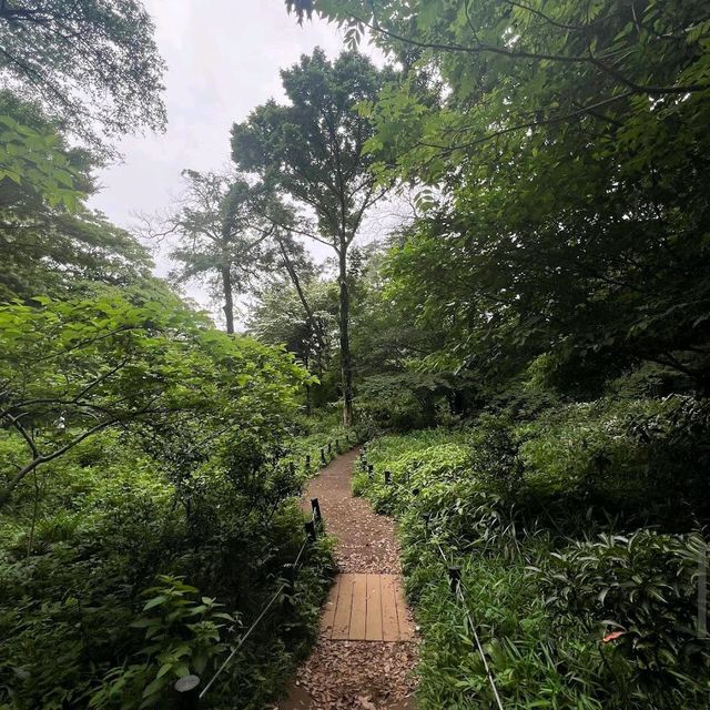Institute for Nature Study (Minato)