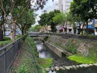 Shin Sei Green Waterway ไถจง